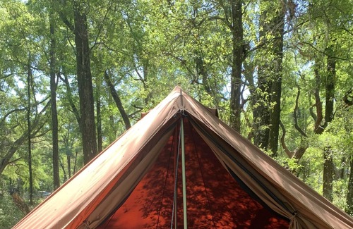 Citrus Springs Alquiler De RV | Cozy glamping spot located just minutes from beautiful springs and manatees!