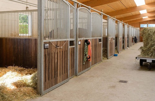 Eschede Casa | Acogedora casa de vacaciones en una granja de caballos en Lüneburg Heath