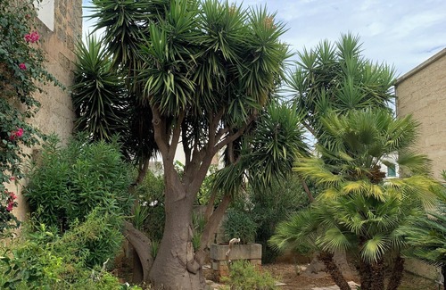 Presicce Casa | Cozy house in Salento, ideal for families seeking an oasis of peace.