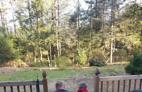 Ashby Casa | Cozy Large A-Frame Log Home with Fenced Yard (All Dogs Welcome!)
