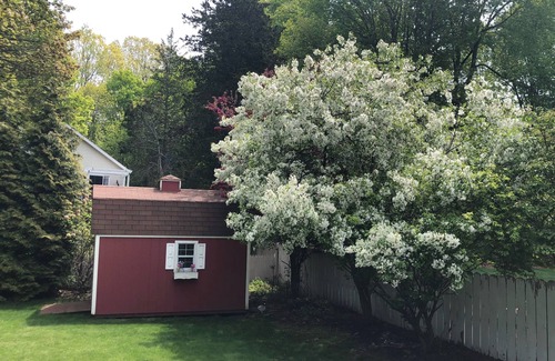 Holland Cabaña | Acogedora casa de campo con mucho encanto. Disponible mensualmente del 15 de octubre al 30 de mayo