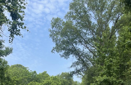 Glen Burnie Casa | Cozy, luxury rooms In quiet beautiful neighborhood with lake and pool access