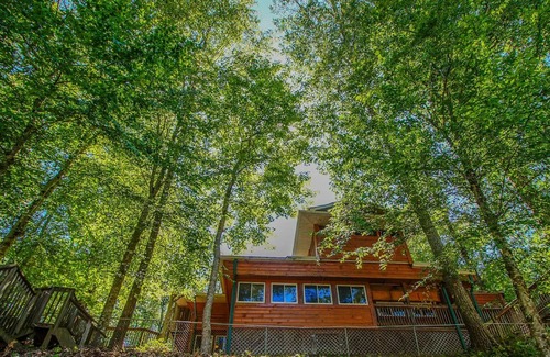 Dandridge Cabina | Cozy Mountain Cabin Game room Hot tub Fireplace