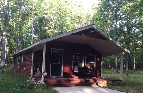 Chase Cabina | Cozy newer cabin located on 40 wooded acres