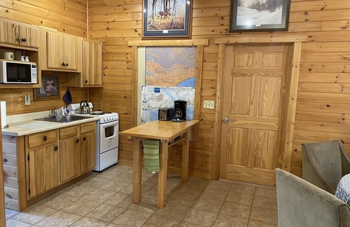 Ely Cabina | Cozy Northwoods Cabin