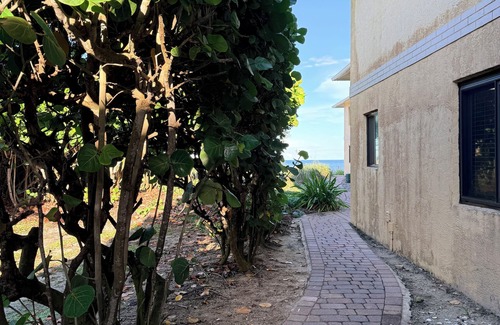 Satellite Beach Condominio | Cozy oceanside condo in peaceful Satellite Beach