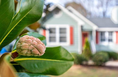 Raleigh Casa | Cozy Pet-friendly home in Five Points Raleigh
