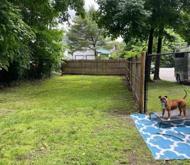 Concord Apartamento | Cozy Place with Outdoor Space for Pets