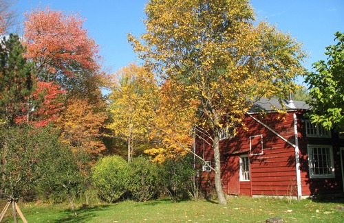 Saugerties Casa | Acogedor, tranquilo, 1850s-secundarios arroyo casa de campo con vistas al prado, jardín ya la montaña