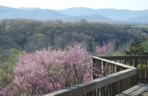 Luray Cabina | Acogedora cabaña romántica con fantásticas vistas de Blue Ridge