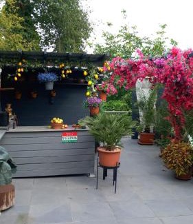 Baunatal Casa | Cozy room with a beautiful garden view