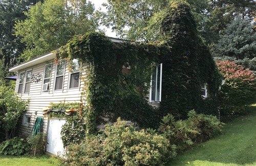 Malletts Bay Cabaña | Acogedora cabaña frente al lago durante todo el año con magníficas vistas!