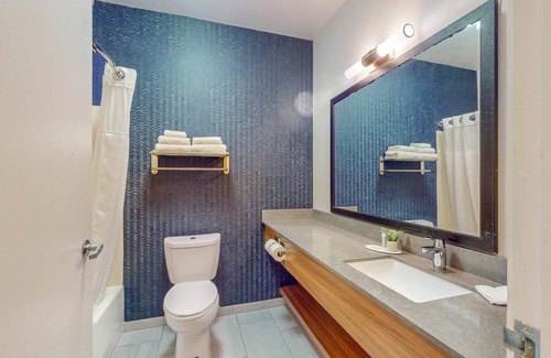 Newtonville Apartamento | Cozy studio with AC and WiFi in beautiful Albany close to University & Hospital