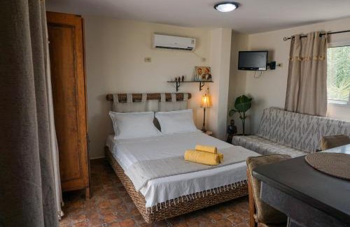 Cite El Habib Apartamento | Cozy Studio with Rooftop Terrace & Cityscape Views