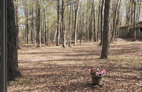 Lakewood Casa | Acogedora casa de vacaciones situada en una tranquila zona boscosa.
