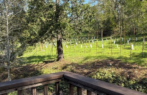 Healdsburg Apartamento | Cozy vineyard studio in welcoming Healdsburg with WiFi, AC, fireplace, jacuzzi