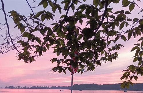 Pulaski Casa | Cozy waterfront house on beautiful South Sandy Pond - w/ a sunroom and 2 BR's.