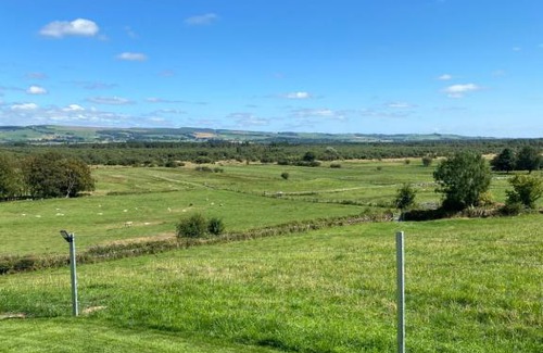 Dumfries Otro | Craigend Farm Holiday Pods - The Woolly Sheep