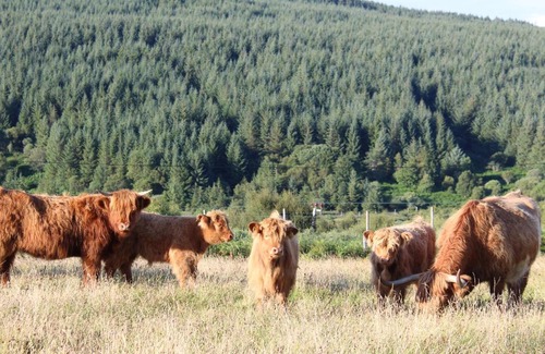 Gruline Complejo | Crannich Holiday Caravans