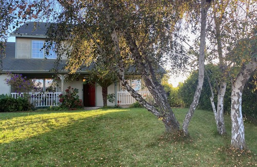 Callender Casa | Creative & Colorful home with pizza oven. 2 miles to beach! SLO nearby too.