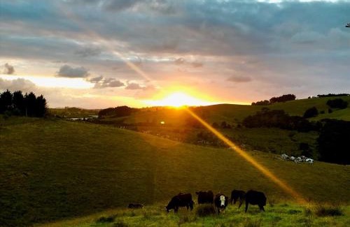 Warkworth Apartamento | Creek Retreat