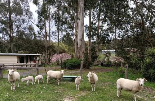 Yellingbo Casa | Creekside Cottage, country escape, Rumbellara farm
