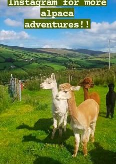 Omagh Casa | Creggan Deveskey Homestead