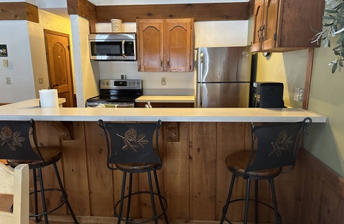 Thompsonville Condominio | Crystal Mtn Condo, walk to lift, soaking tub, short drive to Iron Fish & Lk MI