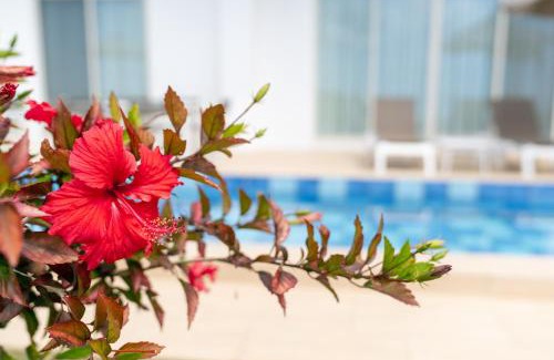 Miyakojima Villa | Crystal Villa Miyakojima Sunayama Beach
