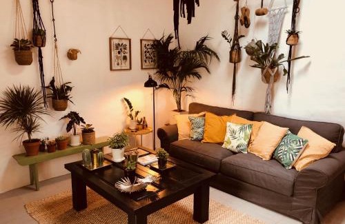 Tiagua Apartamento | Cuarto Botánico Studio - Shared Pool - Central Island Location - 10 mins drive to Famara and La Santa