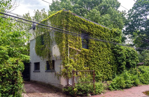 Detroit Casa | Cute 2 bedroom carriage house in historic district