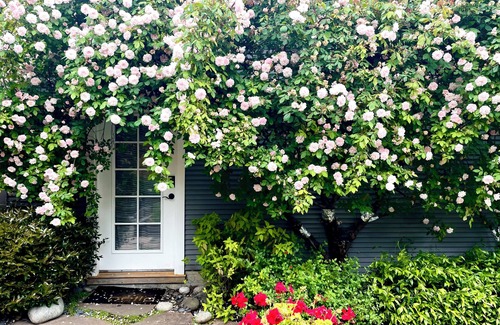 Upper Rockridge Cabaña | Cute Cottage in Oakland Hills with TWIN BEDS