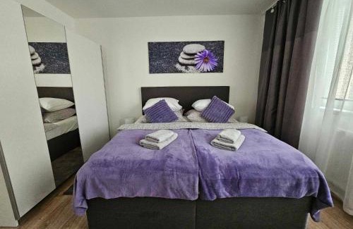 Hradec Kralove Apartamento | Dům se dvěma byty, zahrada, WiFi, Netflix a parkování zdarma, klidná část Hradce Králové