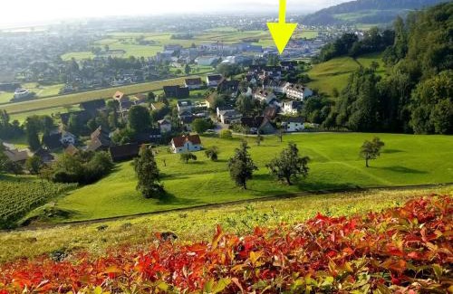 Berneck Apartamento | Dachwhg an schöner Aussichtslage