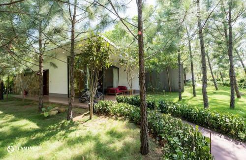 Ngoc Quang Casa | Dai Lai Resort- Forest Villa
