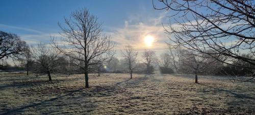 Attleborough Cama Y Desayuno | Dairy Cottage Luxury B&B