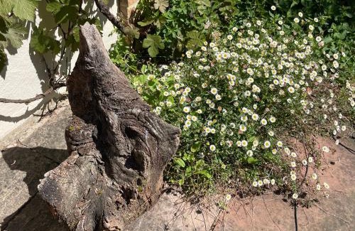 Attleborough Cama Y Desayuno | Dairy Cottage Luxury B&B