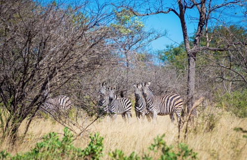 Bulawayo Cabina | Dakeni Game Farm