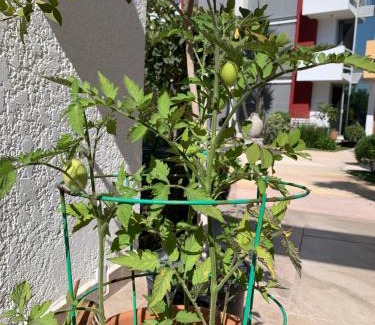 Playas de Tijuana Apartamento | Dali Suites -Accommodations in Playas de Tijuana