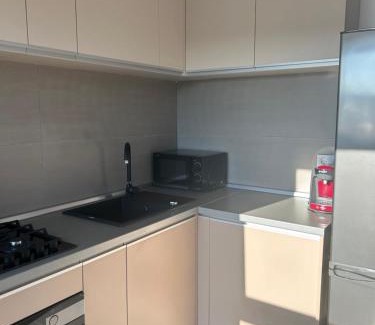 Floresti Apartamento | Dana Residence