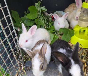 Boryeong Casa | Daori Pension