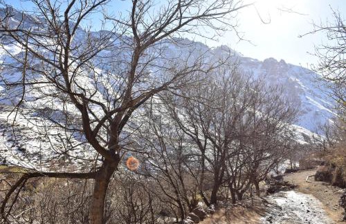 Tacheddirt Cabina | Dar Angour Tacheddirt