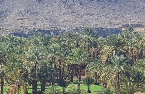 Aremd Casa | Dar lamane