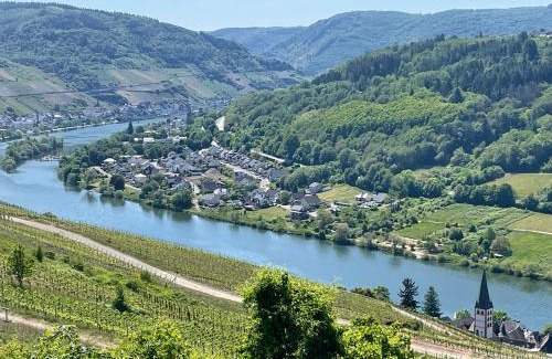 Kaimt Apartamento | Das AMBIENTE I - Unser Luxus - traumhafter Moselblick, große Terrasse, stilvolle Ausstattung, barrierefrei, Privatparkplatz, eigener Zugang zum Moselufer, 5 Min zur Altstadt