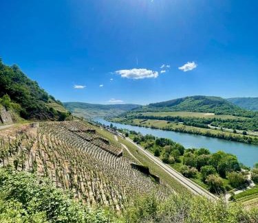 Kaimt Apartamento | Das AMBIENTE I - Unser Luxus - traumhafter Moselblick, große Terrasse, stilvolle Ausstattung, barrierefrei, Privatparkplatz, eigener Zugang zum Moselufer, 5 Min zur Altstadt