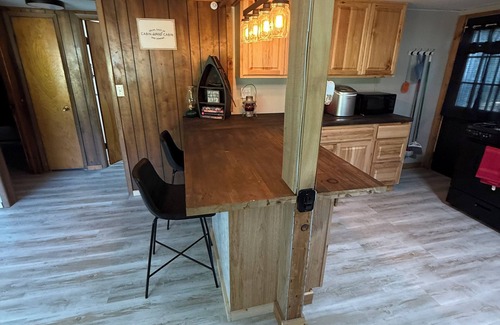 Mozier Cabina | Dave’s River House