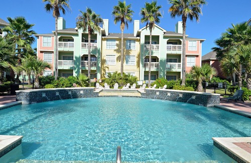 Galveston Condominio | Dawn 236 - Turtle Romance