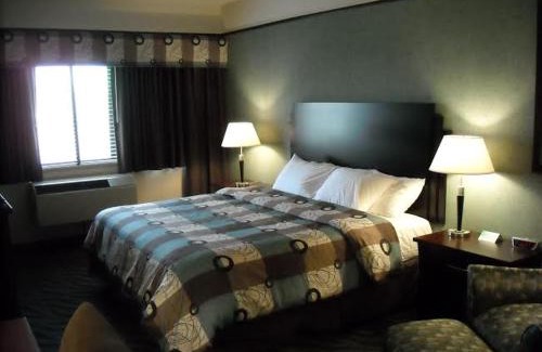 Rochester Hills Hotel | Days Inn & Suites by Wyndham Rochester Hills MI
