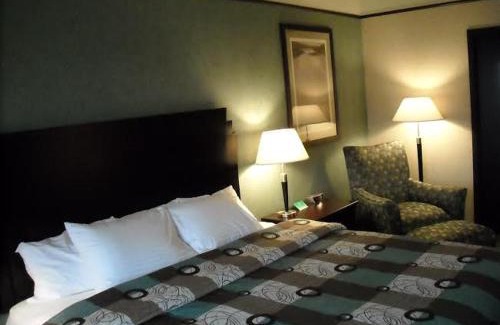 Rochester Hills Hotel | Days Inn & Suites by Wyndham Rochester Hills MI