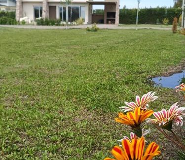 Rama Caída Casa | De Alma Tinta - Petit Chalet